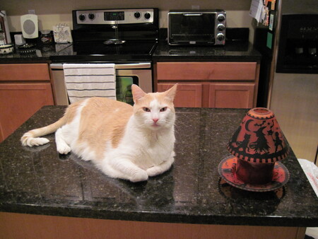 Entry image for Cedric. Clicking this image will show a larger photo