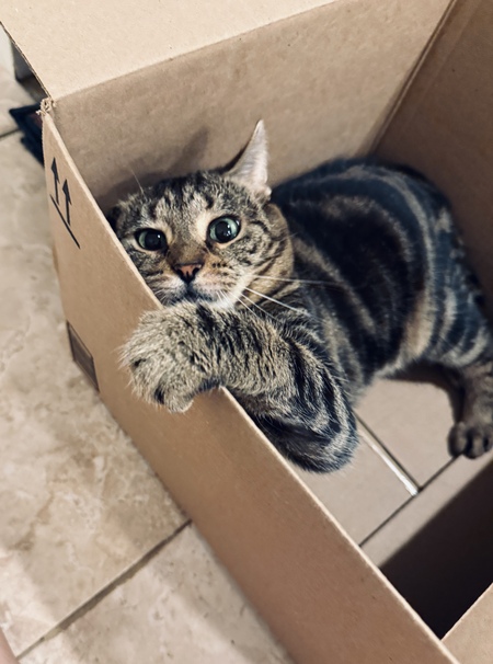 Entry image for Church . Clicking this image will show a larger photo