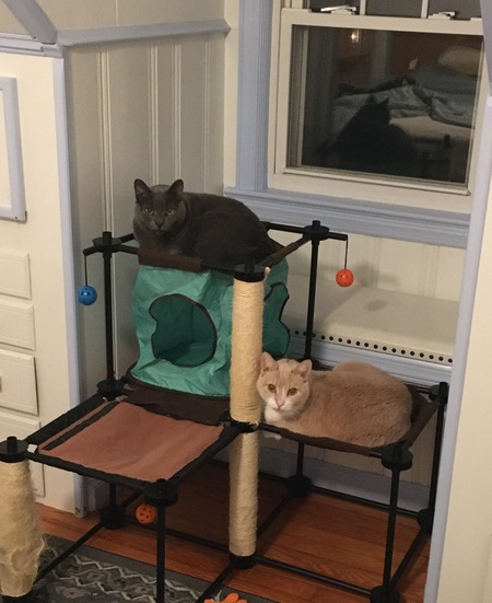 Entry image for TITO. Clicking this image will show a larger photo