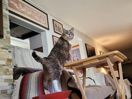 Entry image for Texas. Clicking this image will show a larger photo