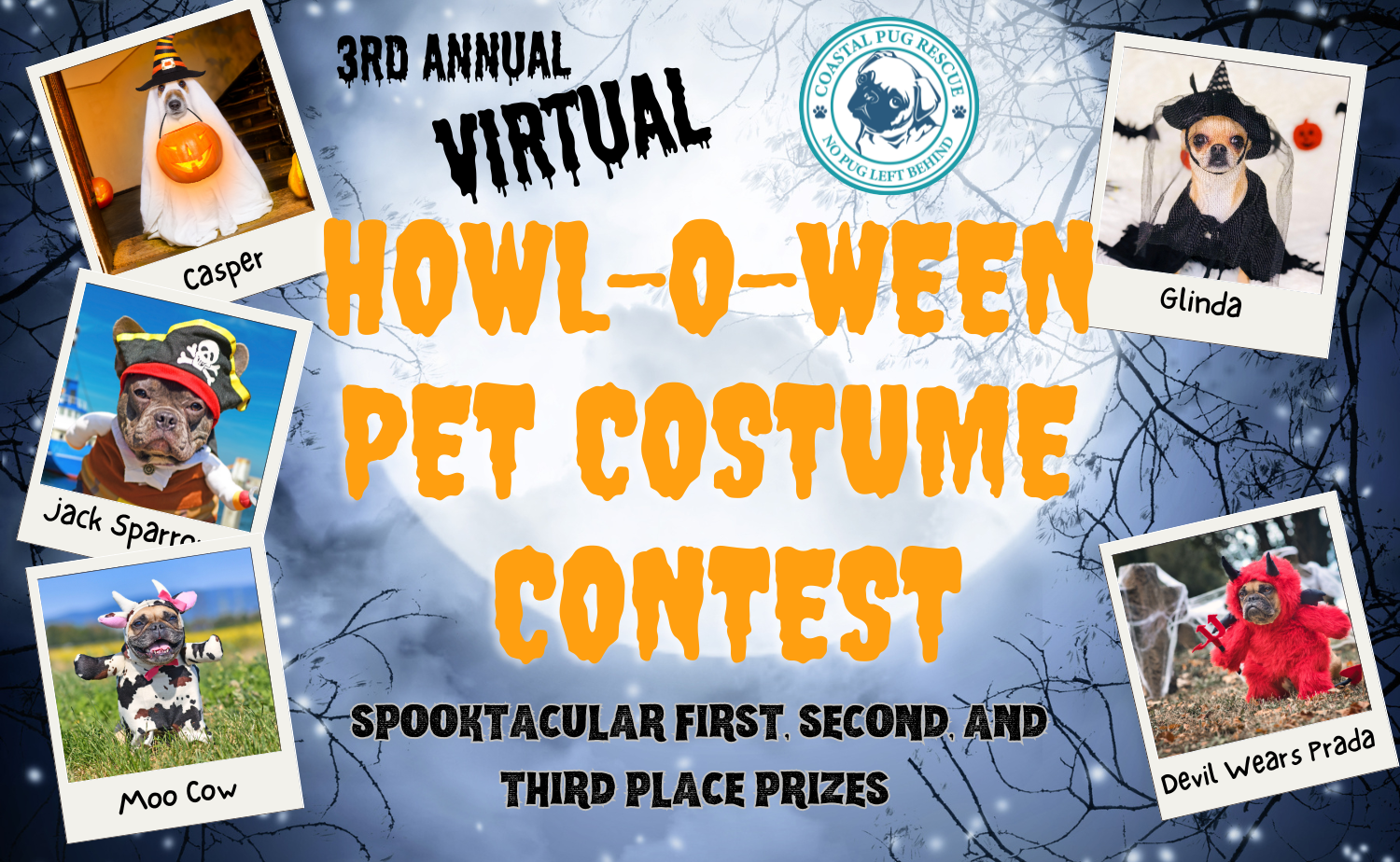 Banner for Virtual Howl-O-Ween Pet Costume Contest