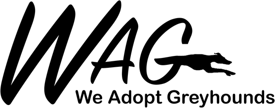 Logo for 2025/2026 Sighthound Puparazzi Calendar Contest sponsored by WAG (We Adopt Greyhounds, Inc.)