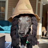 Entry image for Charlie