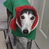 Entry image for Princess