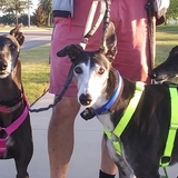 Entry image for Zafrina, Princess and Nina