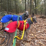 Entry image for Kermit and Annie