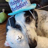 Entry image for Winston