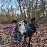 Entry image for Sabrina and Caramelo