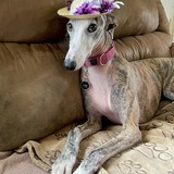 Entry image for Lyric