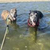 Entry image for Charlotte and Cathy 