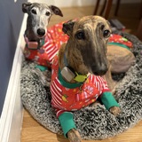 Entry image for Sabrina and Annie 