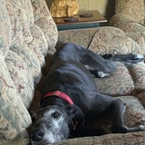 Entry image for Tarmac