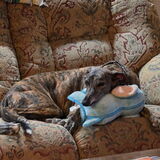 Entry image for Luka