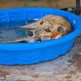 Entry image for Caitlin