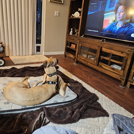 Entry image for Gunther. Clicking this image will show a larger photo