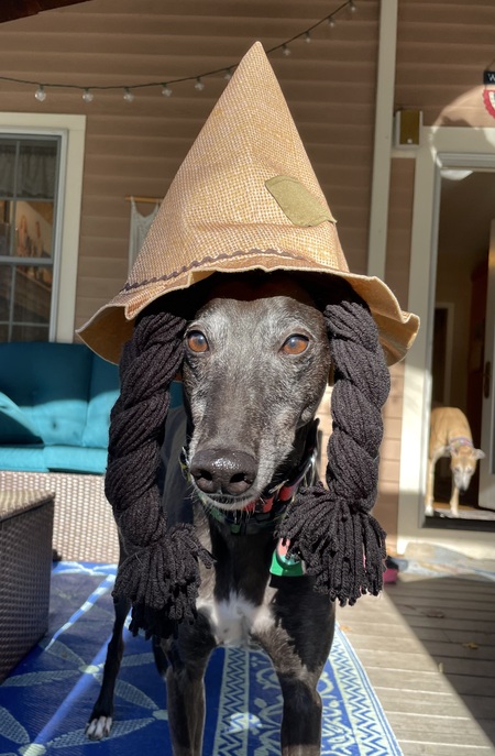 Entry image for Charlie. Clicking this image will show a larger photo