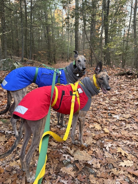 Entry image for Kermit and Annie. Clicking this image will show a larger photo