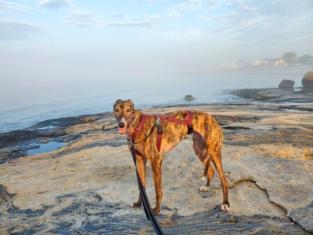 Entry image for Fallynn. Clicking this image will show a larger photo