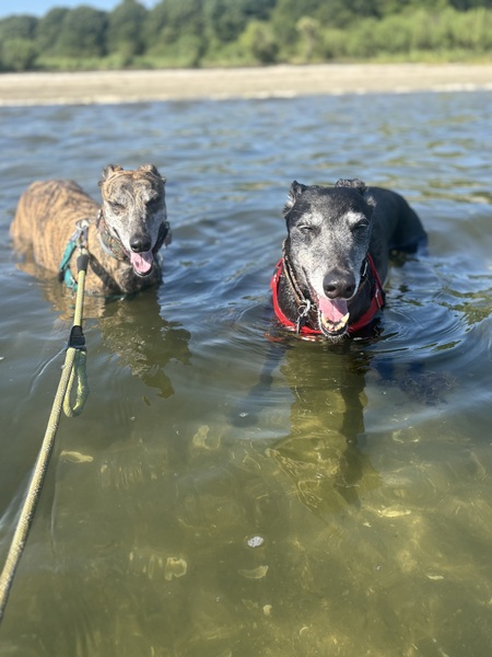 Entry image for Charlotte and Cathy . Clicking this image will show a larger photo