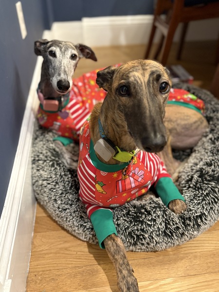 Entry image for Sabrina and Annie . Clicking this image will show a larger photo