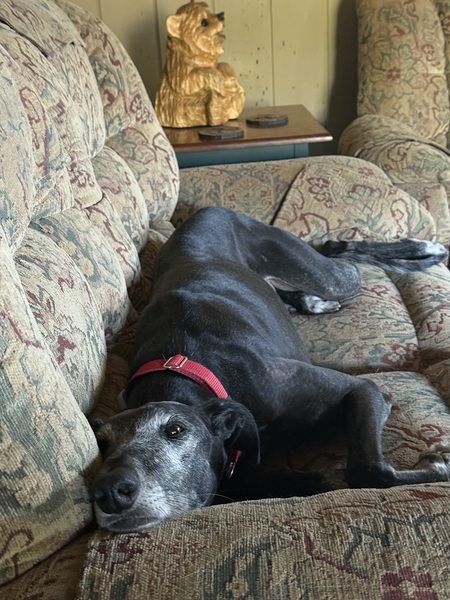 Entry image for Tarmac. Clicking this image will show a larger photo