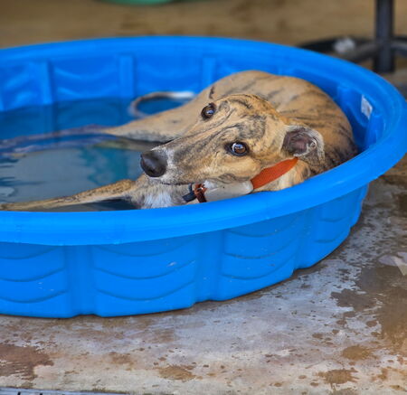 Entry image for Caitlin. Clicking this image will show a larger photo