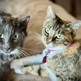 Entry image for Smokey Dave and Rita