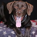 Entry image for Java Lee