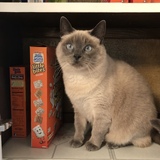 Entry image for Pretty