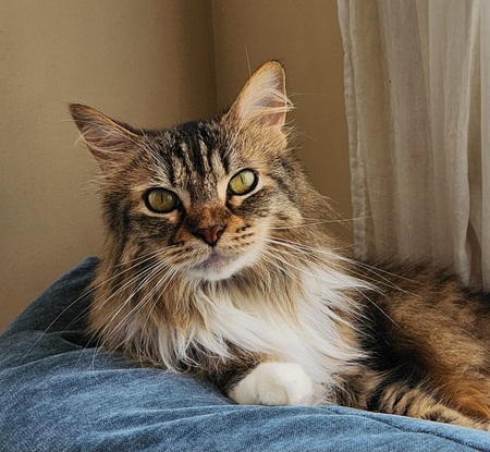 Entry image for Olivia . Clicking this image will show a larger photo