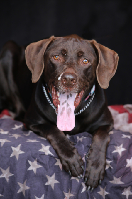 Entry image for Java Lee. Clicking this image will show a larger photo