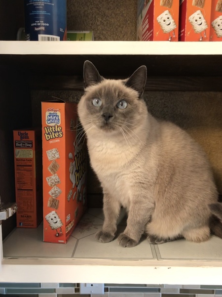 Entry image for Pretty. Clicking this image will show a larger photo