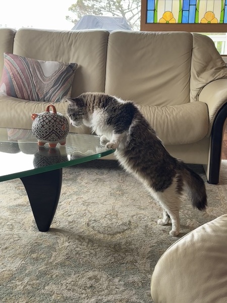 Entry image for Ronan . Clicking this image will show a larger photo