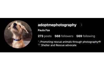 Adopt Me Photography: Paula Fox