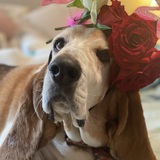 Entry image for Ellie Mae