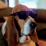 Entry image for Marcus