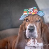 Entry image for Tank