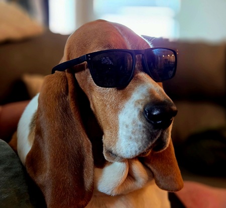 Entry image for Marcus. Clicking this image will show a larger photo