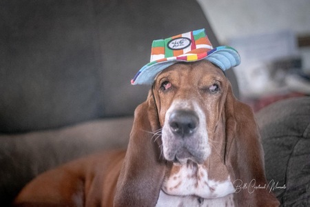 Entry image for Tank. Clicking this image will show a larger photo