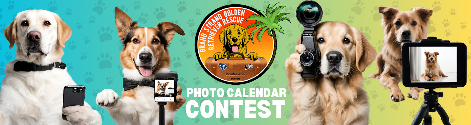 Banner for GSGRR 2026 Calendar Contest