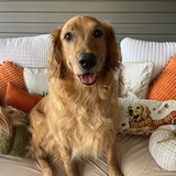 Entry image for Reyna