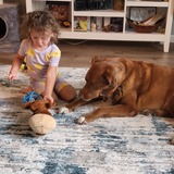 Entry image for RAINI