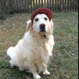 Entry image for Freya