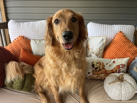 Entry image for Reyna. Clicking this image will show a larger photo