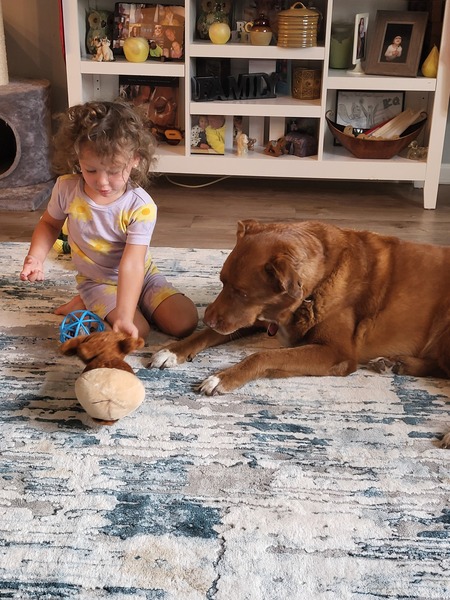 Entry image for RAINI. Clicking this image will show a larger photo