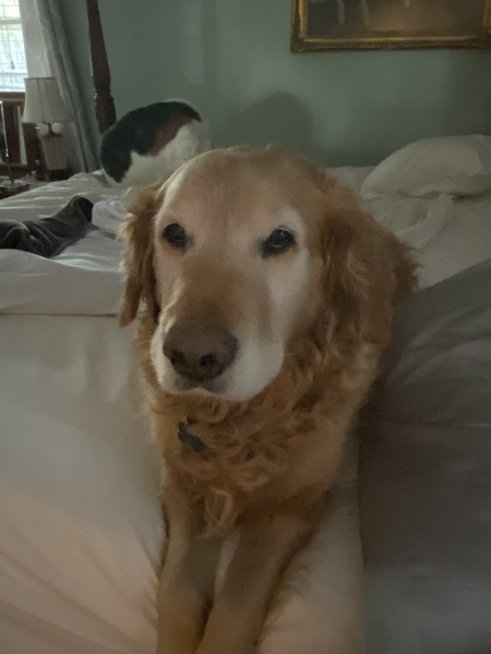 Entry image for Max. Clicking this image will show a larger photo