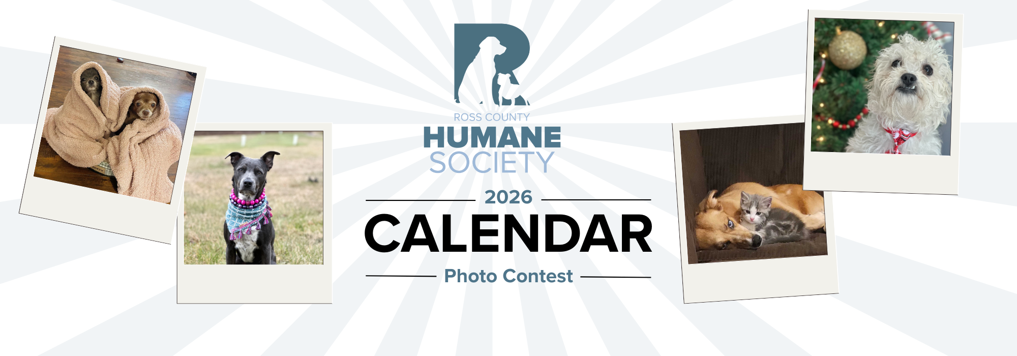 Banner for 2026 Pet Calendar Photo Contest