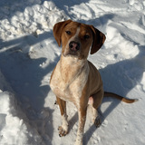 Entry image for Boone