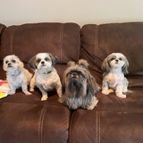 Entry image for Lacee, Sadie, Mia, and Chloe