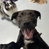 Entry image for Sandra